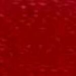 Super Strength Rayon Embroidery Thread 2-ply 40wt 120d 1100yds Foxy Red 1002RA2263