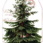 Classic Christmas in Christmas Botanical Main Panel By Riley Blake PD16280-PANEL